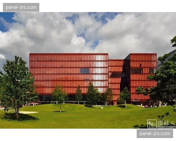 “全民足球周末”在德国十座城市同步举行，吸引数万参与者